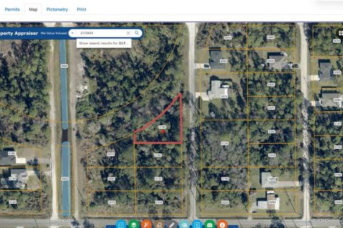 Land in DeLand, Florida № 2229074 - photo 3