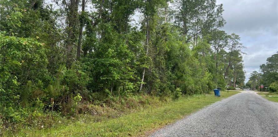 Land in DeLand, Florida № 2229074