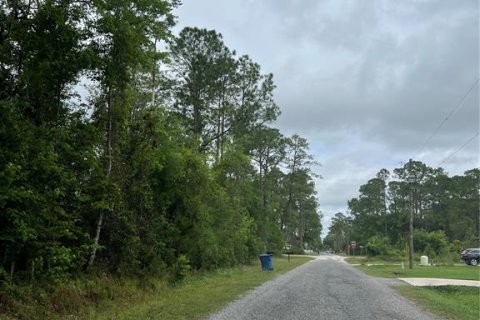 Land in DeLand, Florida № 2229074 - photo 2