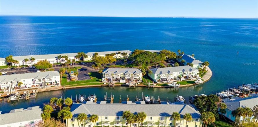 Condo in Saint Petersburg, Florida, 2 bedrooms  № 2155242
