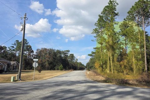 Land in Dunnellon, Florida № 2159828 - photo 4
