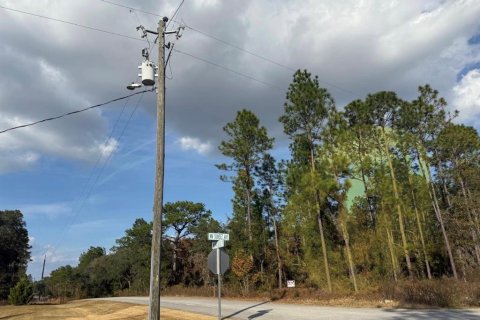 Land in Dunnellon, Florida № 2159828 - photo 3