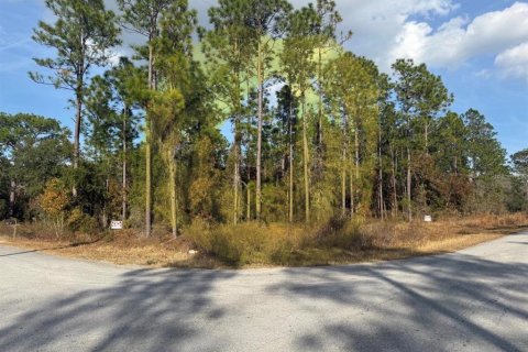 Land in Dunnellon, Florida № 2159828 - photo 2