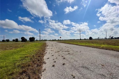 Land in Placida, Florida № 2163537 - photo 2