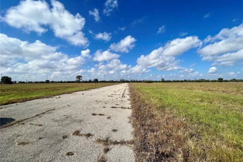 Land in Placida, Florida № 2163537 - photo 3