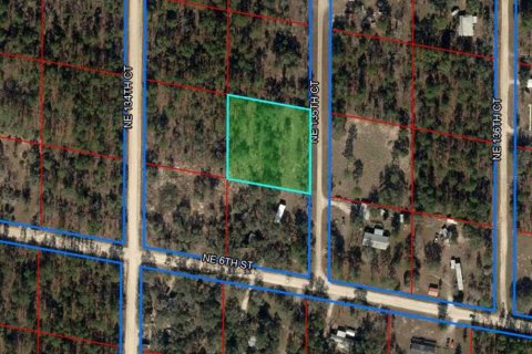 Land in Williston, Florida № 2162651 - photo 2