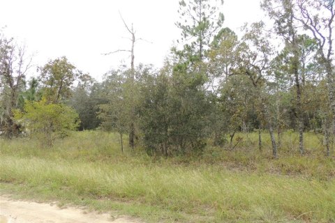 Land in Williston, Florida № 2162651 - photo 4