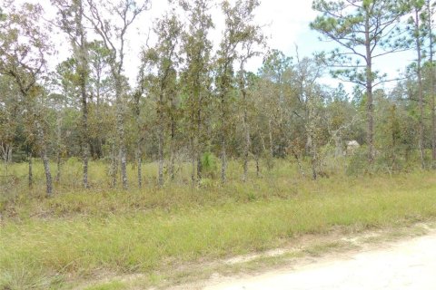 Land in Williston, Florida № 2162651