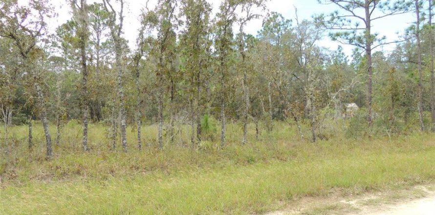 Land in Williston, Florida № 2162651