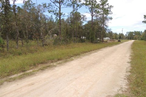 Land in Williston, Florida № 2162651 - photo 5