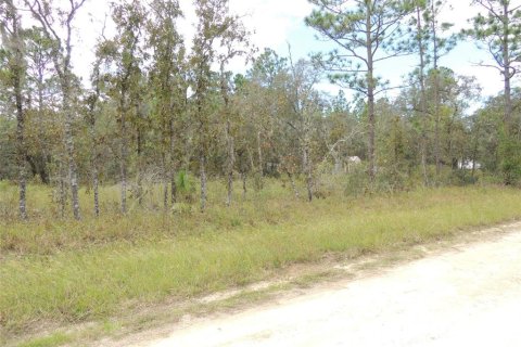 Land in Williston, Florida № 2162651 - photo 6