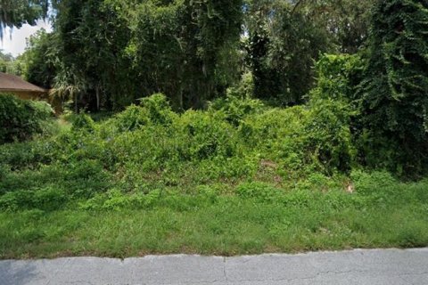 Land in Edgewater, Florida № 2210499 - photo 2