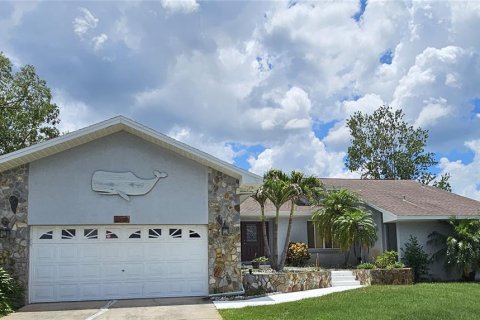 House in Holiday, Florida 4 bedrooms, 265.79 sq.m. № 1798103 - photo 2