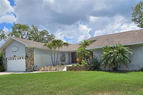 House in Holiday, Florida 4 bedrooms, 265.79 sq.m. № 1798103 - photo 1