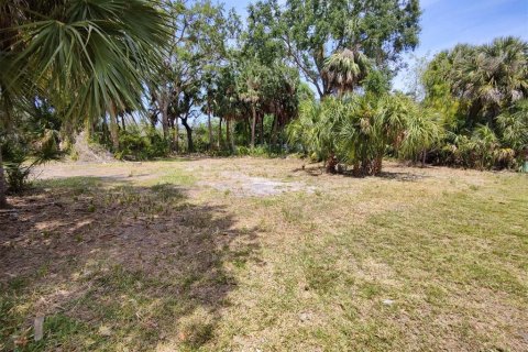 Terreno en venta en Palm Harbor, Florida № 1768131 - foto 4