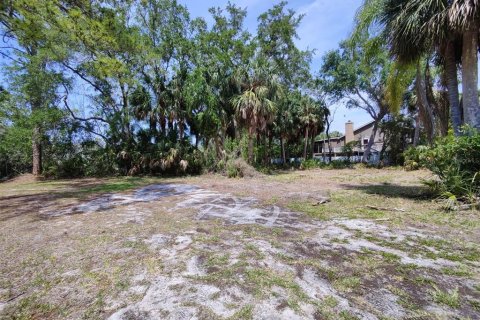 Terreno en venta en Palm Harbor, Florida № 1768131 - foto 5