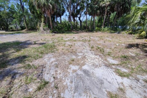 Terreno en venta en Palm Harbor, Florida № 1768131 - foto 7