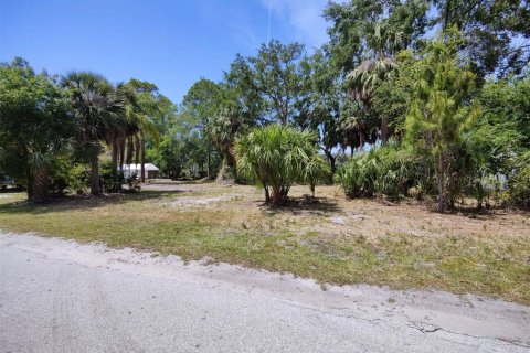 Terreno en venta en Palm Harbor, Florida № 1768131 - foto 12