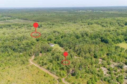 Land in Citra, Florida № 1721355 - photo 8