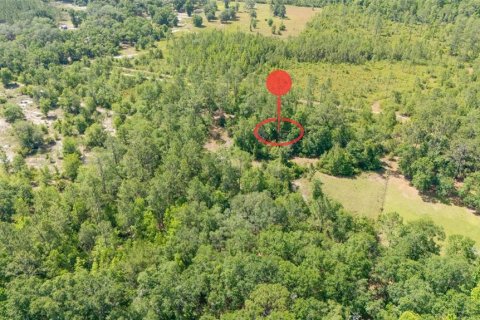 Land in Citra, Florida № 1721355 - photo 4