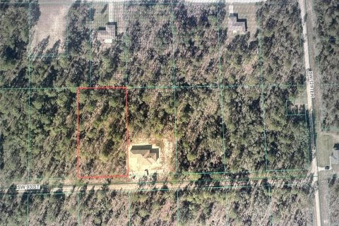 Terrain à Dunnellon, Floride № 2284281