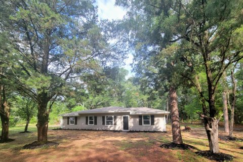 House in De Funiak Springs, Florida 4 bedrooms, 138.24 sq.m. № 562471 - photo 1