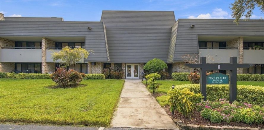 Condo à Palm Harbor, Floride, 2 chambres № 2373711