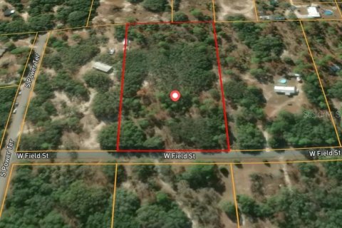 Land in Homosassa, Florida № 2209587