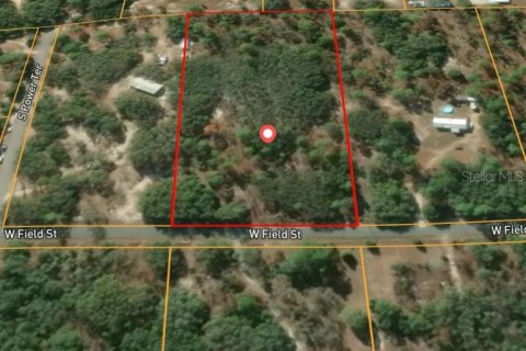 Land in Homosassa, Florida № 2209587 - photo 3
