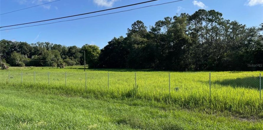 Terrain à Belleview, Floride № 1808103