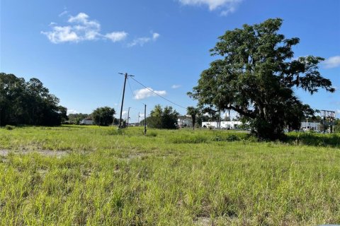 Terrain à vendre à Belleview, Floride № 1808103 - photo 8