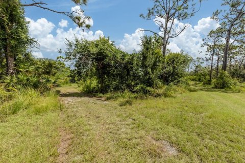 Land in Englewood, Florida № 1843432 - photo 15