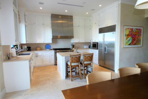 Casa en venta en Jupiter Island, Florida, 5 dormitorios, 458.1 m2 № 2193971 - foto 6