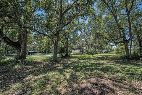 Villa ou maison à vendre à Seffner, Floride: 3 chambres, 248.89 m2 № 1876718 - photo 6