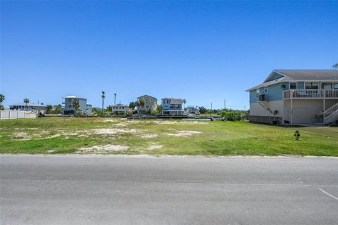 Land in Hernando Beach, Florida № 1136703 - photo 8