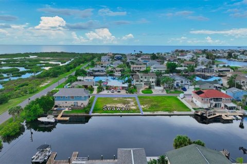 Land in Hernando Beach, Florida № 1136703 - photo 4