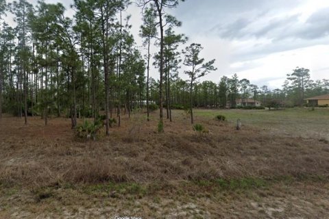 Land in Lehigh Acres, Florida № 2164559 - photo 5