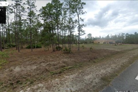 Land in Lehigh Acres, Florida № 2164559 - photo 7
