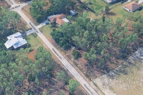 Land in Lehigh Acres, Florida № 2164559 - photo 3