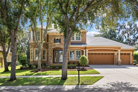 Villa ou maison à Fish Hawk, Floride 4 chambres, 301.28 m2 № 2309086