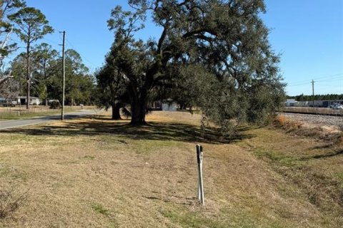 Propiedad comercial en venta en Live Oak, Florida, 45.52 m2 № 2139365 - foto 4