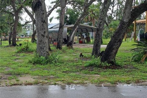 Land in Steinhatchee, Florida № 1858111 - photo 1