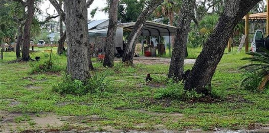 Land in Steinhatchee, Florida № 1858111