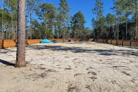 Terrain à Dunnellon, Floride № 2108913