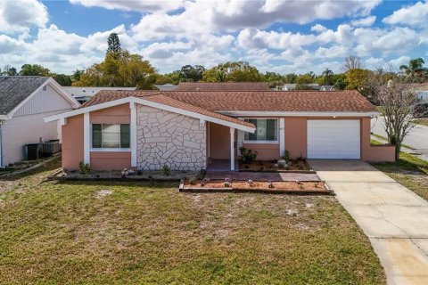 Villa ou maison à New Port Richey, Floride 3 chambres, 111.2 m2 № 2102163