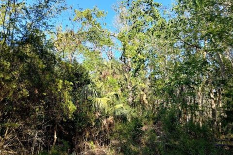Land in Spring Hill, Florida № 1572302 - photo 2