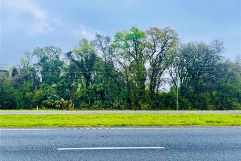 Terreno en venta en Citra, Florida № 1044460 - foto 1