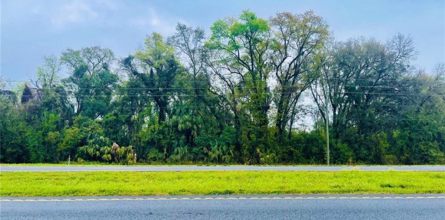 Terreno en Citra, Florida № 1044460