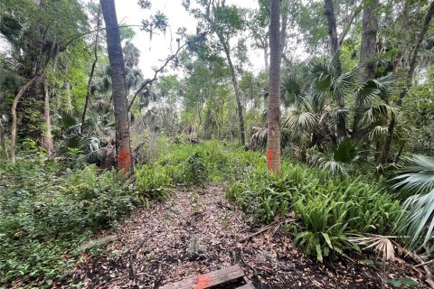 Land in DeBary, Florida № 1620598 - photo 10