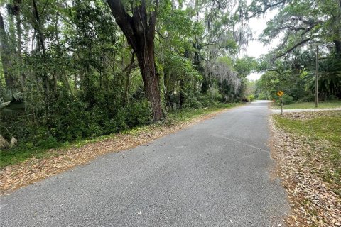 Land in DeBary, Florida № 1620598 - photo 8